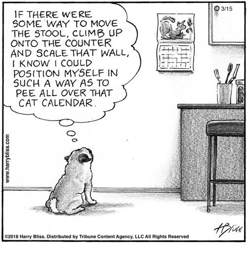 "If there were some way to move the stool, climb up onto the counter and scale that wall, I know I could position myself in such a way as to pee all over that cat calendar."