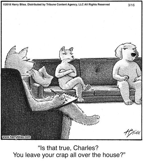 "Is that true, Charles? You leave your crap all over the house?"