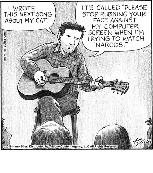 "I wrote this next song about my cat. It's called 'Please stop rubbing your face against my computer screen when I'm trying to watch Narcos.'"