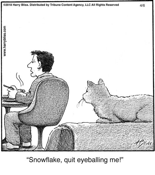 "Snowflake, quit eyeballing me!"