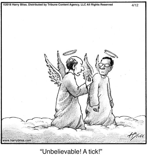 "Unbelievable! A tick!"