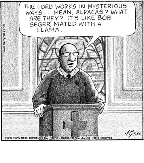 "The Lord works in mysterious ways, I mean, alpacas? What are they? It’s like Bob Seger mated with a llama."