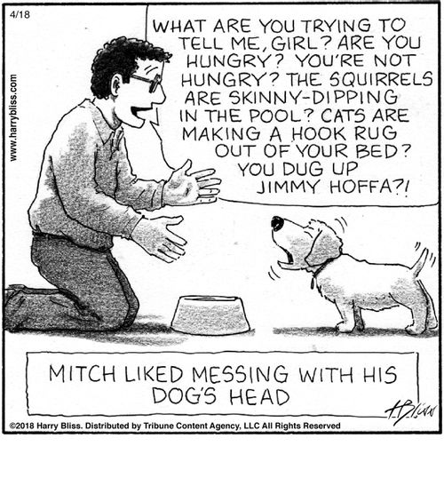 "What are you trying to tell me, girl? Are you hungry? You’re not hungry? The squirrels are skinny-dipping in the pool? Cats are making a hook rug out of your bed? You dug up Jimmy Hoffa?!"  "Mitch liked messing with his dog's head."