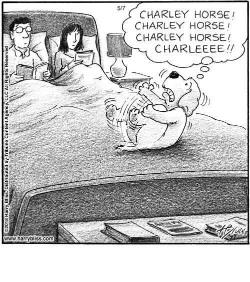 "Charley horse! Charley horse! Charley horse! Charleee!!"