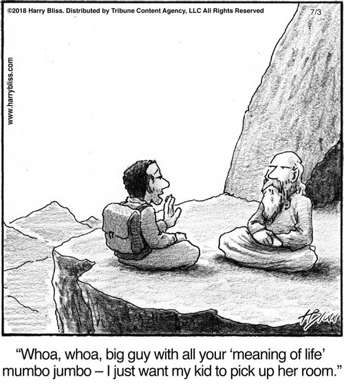 "Whoa, whoa, big guy with all your ‘meaning of life’ mumbo jumbo—I just want my kid to pick up her room."