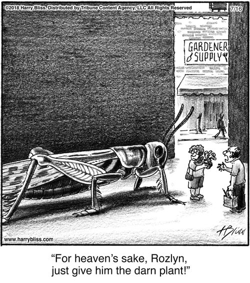 "For heaven’s sake, Rozlyn, just give him the darn plant!"