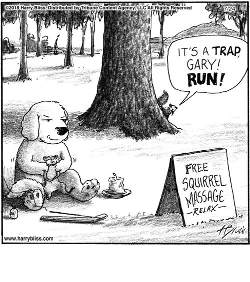 "It's a trap, Gary! Run!"