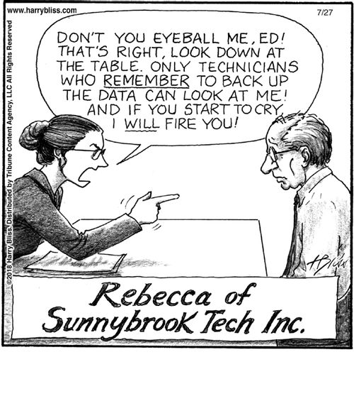 "Don’t you eyeball me, Ed! That’s right, look down at the table. Only technicians who remember to back up the data can look at me! And if you start to cry I will fire you!"