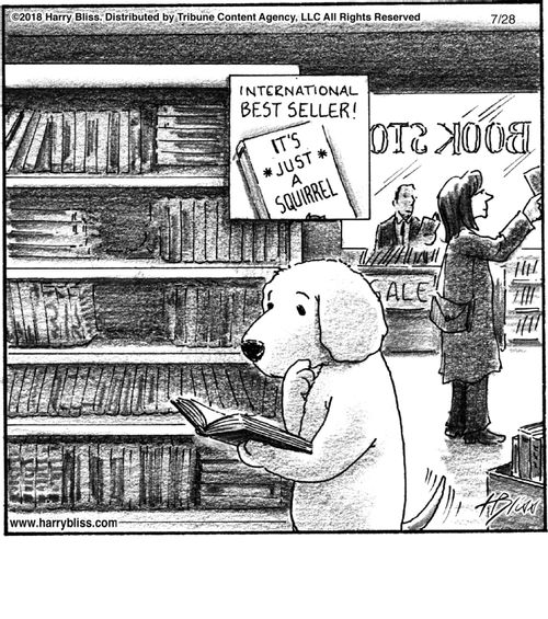 "International best seller! It's just a squirrel."