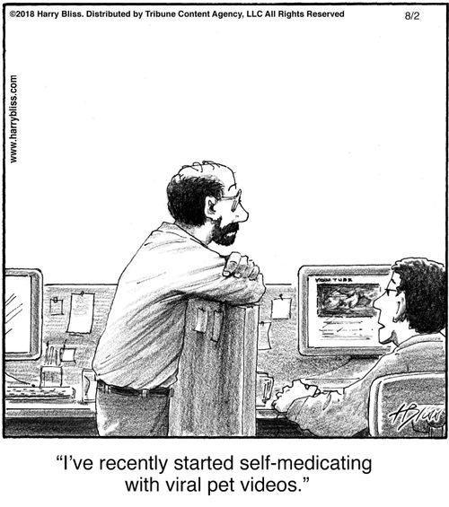 "I’ve recently started self-medicating with viral pet videos."