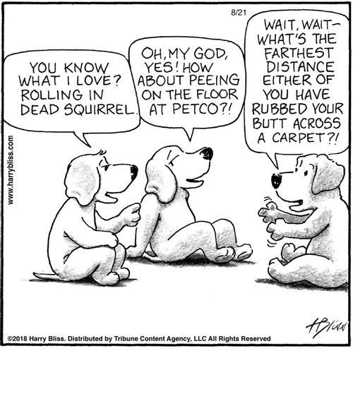 "You know what I love? Rolling in dead squirrel."   "Oh, my God, yes! How about peeing on the floor at Petco?!"   "Wait, wait–what's the farthest distance either of you have rubbed your butt across a carpet?!"