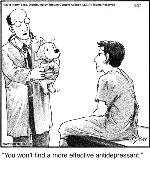"You won’t find a more effective antidepressant."