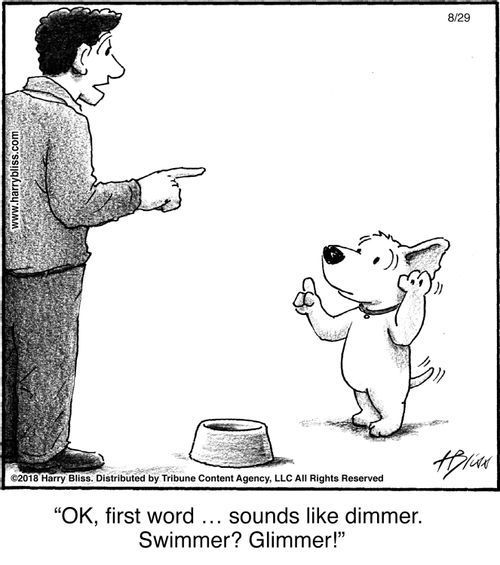 “Ok, first word … sounds like dimmer. Swimmer? Glimmer!”