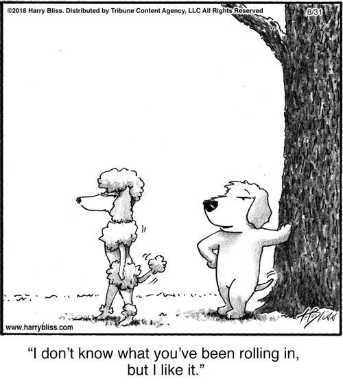 "I don’t know what you’ve been rolling in, but I like it."