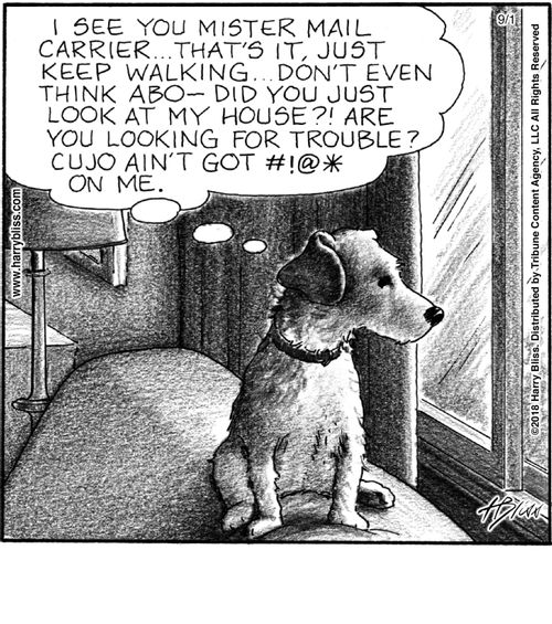 "I see you mister mail carrier... that's it, just keep walking... don't even think abo—did you just look at my house?! Are you looking for trouble? Cujo ain't got #!@* on me."
