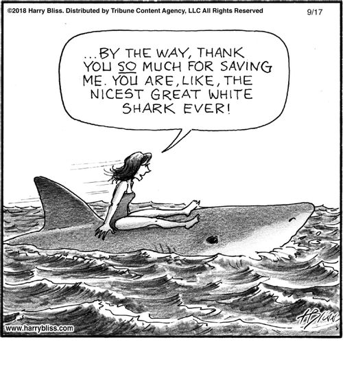 "By the way, thank you so much for saving me. You are, like, the nicest great white shark ever!"