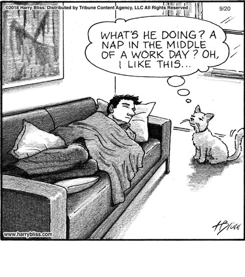 "What's he doing? A nap in the middle of a work day? Oh, I like this..."