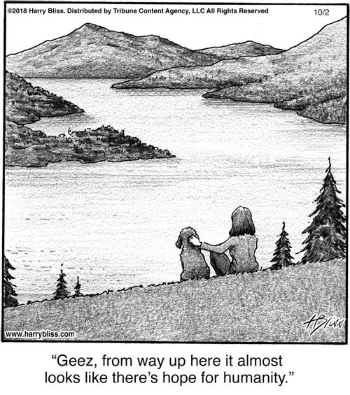 "Geez, from way up here it almost looks like there’s hope for humanity."