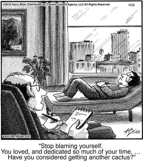 "Stop blaming yourself. You loved, and dedicated so much of your time. Have you considered getting another cactus?"