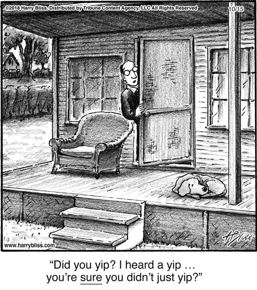 "Did you yip? I heard a yip … you’re sure you didn’t just yip?"