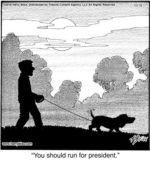 "You should run for president."