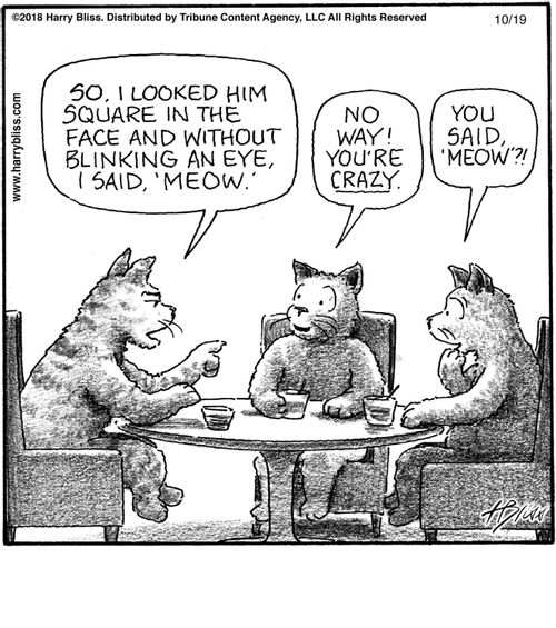 "So, I looked him square in the face and without blinking an eye, I said, 'Meow.'"  "No way! You're crazy."  "You said, 'Meow'?!"