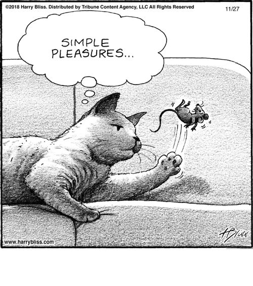 "Simple pleasures..."