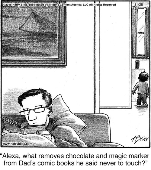 "Alexa, what removes chocolate and magic marker from Dad’s comic books he said never to touch?"