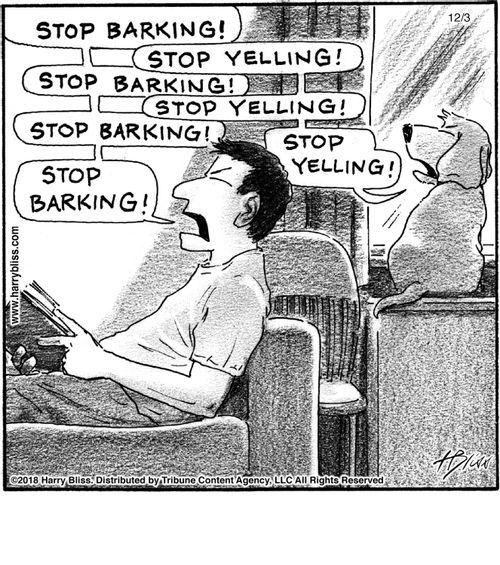 "Stop barking!" "Stop yelling!" "Stop barking!" "Stop yelling!" "Stop barking!" "Stop yelling!" "Stop barking!"