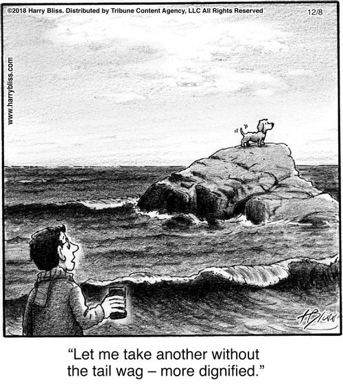 "Let me take another without the tail wag – more dignified."