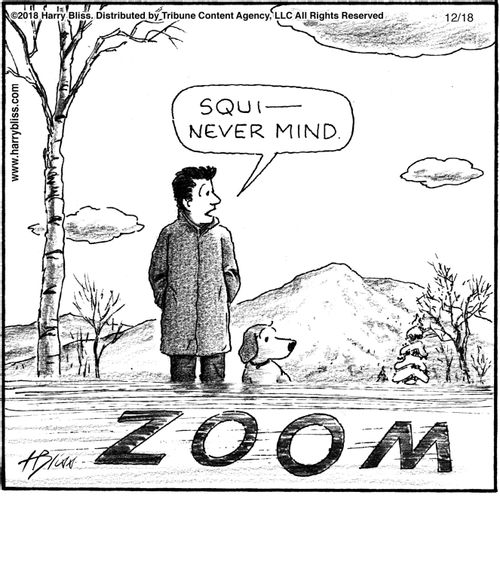 "Squi—never mind."
