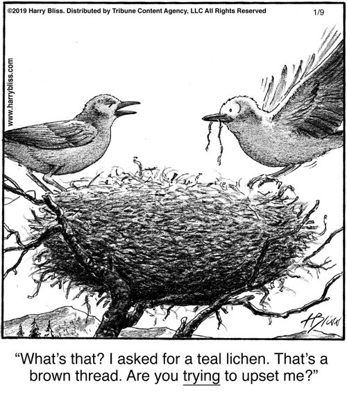 "What's that? I asked for a teal lichen. That's a brown thread. Are you trying to upset me?"