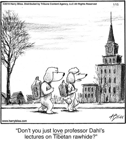 "Don’t you just love professor Dahl’s lectures on Tibetan rawhide?"