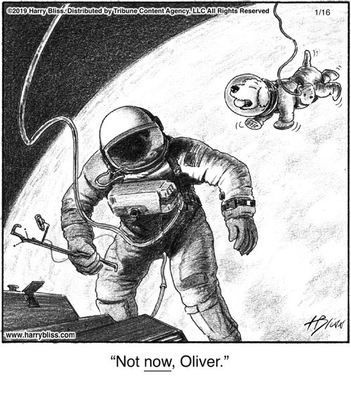 "Not now, Oliver."