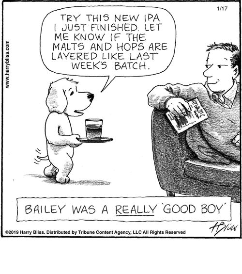 "Try this new IPA I just finished. Let me know if the malts and hops are layered like last week's batch."  "Bailey was a really 'good boy'."