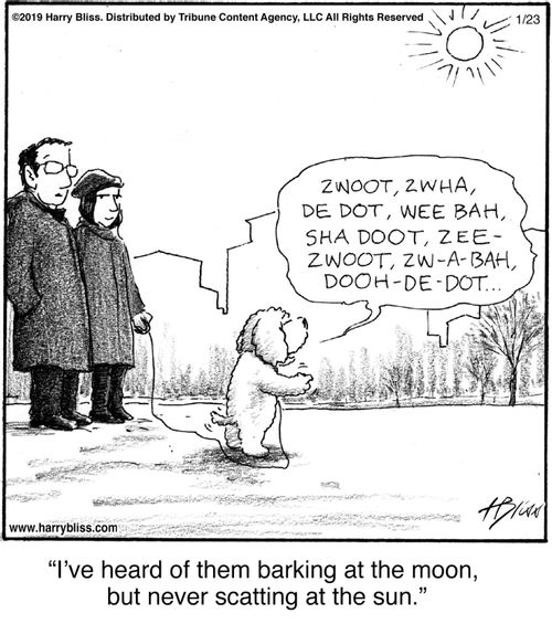 "I’ve heard of them barking at the moon, but never scatting at the sun."