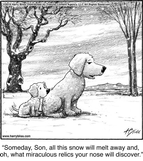 "Someday, Son, all this snow will melt away and, oh, what miraculous relics your nose will discover."