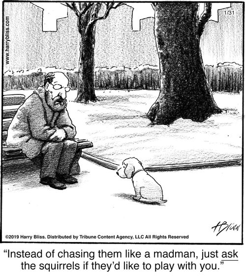 "Instead of chasing them like a madman, just ask the squirrels if they’d like to play with you."