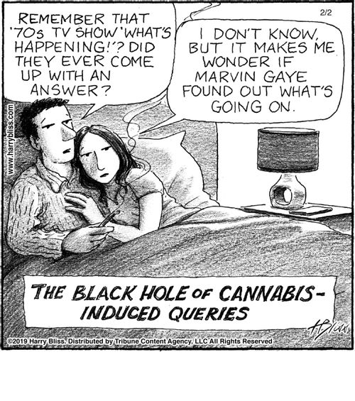 "Remember that '70s TV show 'What's Happening'!? Did they ever come up with an answer?" "I don't know, but it makes me wonder if Marvin Gaye found out what's going on." "The black hole of cannabis-induced queries"