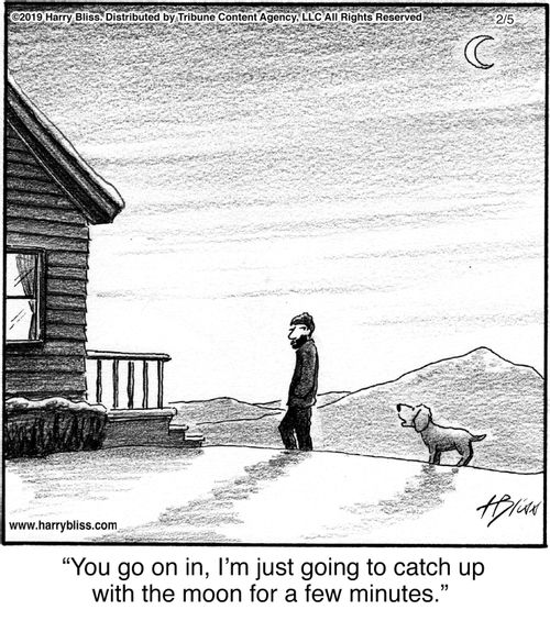 "You go on in, I’m just going to catch up with the moon for a few minutes."