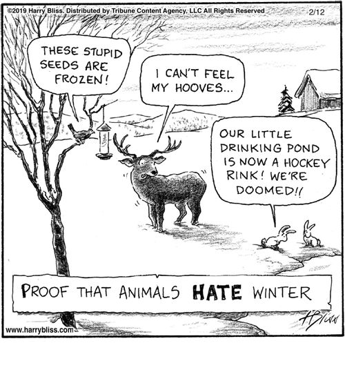 "These stupid seeds are frozen!"   "I can't feel my hooves..."   "Our little drinking pond is now a hockey rink! We're doomed!!"   "Proof that animals hate winter."
