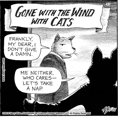 "Gone with the wind with cats"  "Frankly, my dear, I don't give a damn."  "Me neither, who cares—let's take a nap."