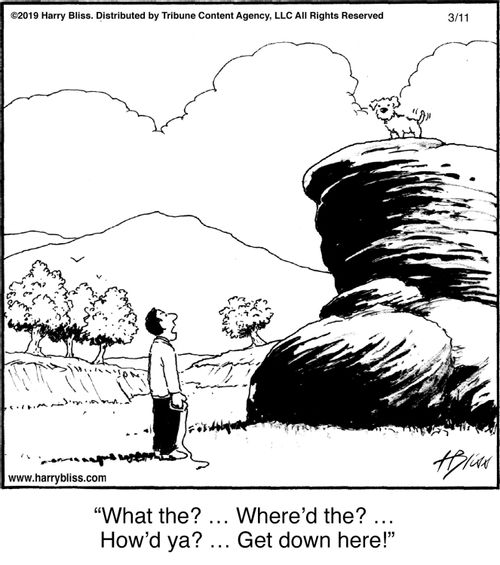 "What the? ... Where’d the? ... How’d ya? ... Get down here!"