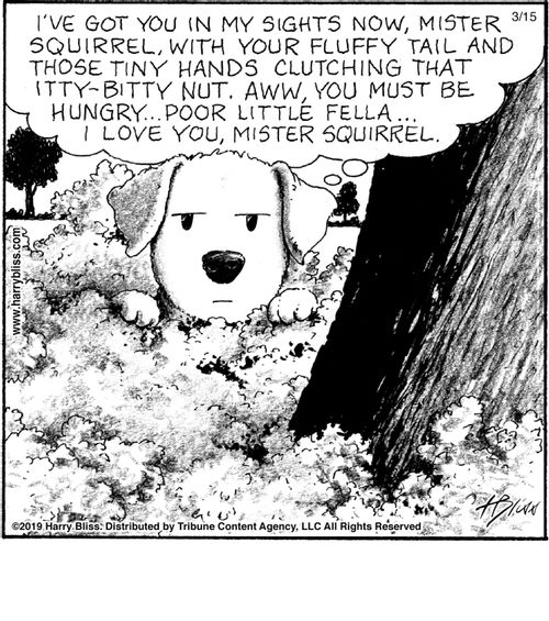 "I've got you in my sights now, Mister Squirrel, with your fluffy tail and those tiny hands clutching that itty-bitty nut. Aww, you must be hungry...poor little fella... I love you, Mister Squirrel."