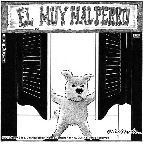 "El muy mal perro"