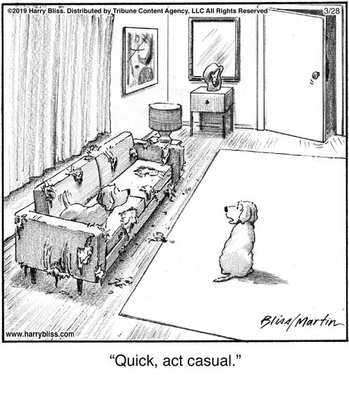 "Quick, act casual."