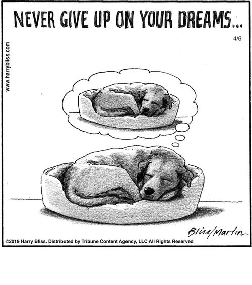 "Never give up on your dreams..."