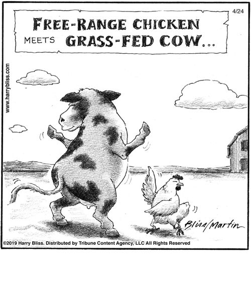 "Free-range chicken meets grass-fed cow..."