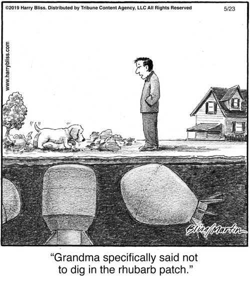 "Grandma specifically said not to dig in the rhubarb patch."