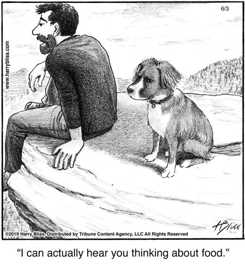 "I can actually hear you thinking about food."